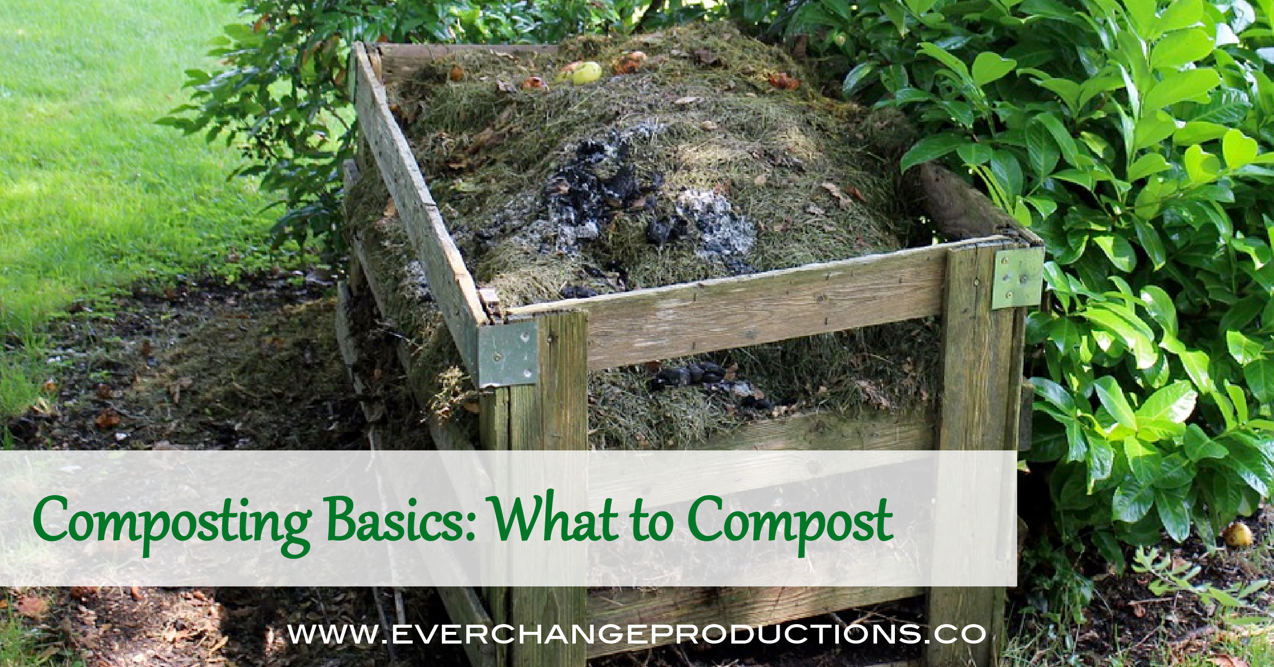Composting Basics What to Compost