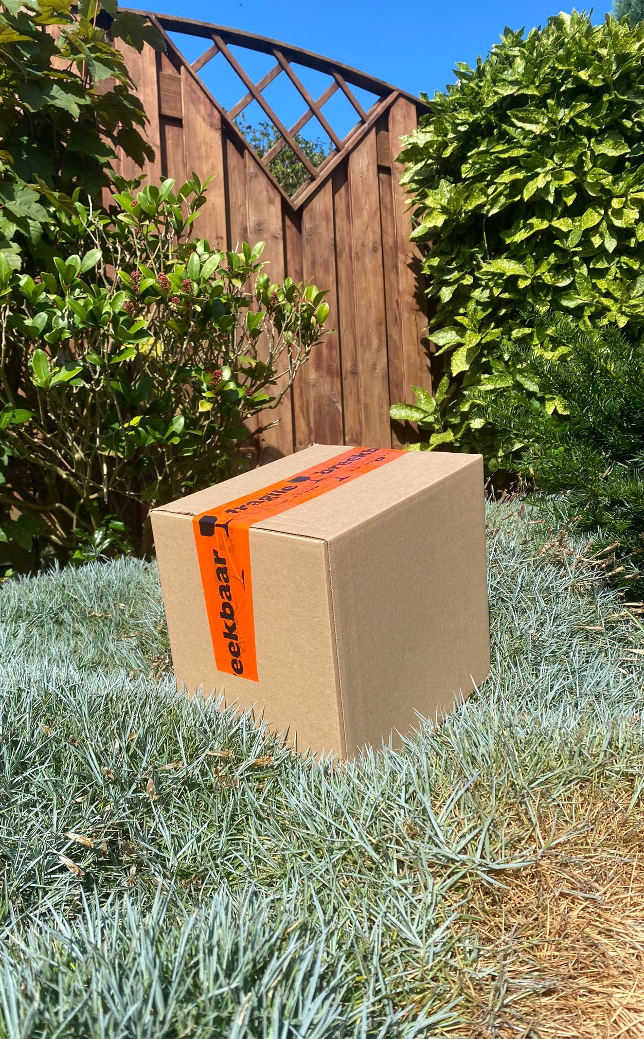 Mystery Box Save the Beers (Mini) - Everythingbeers.com
