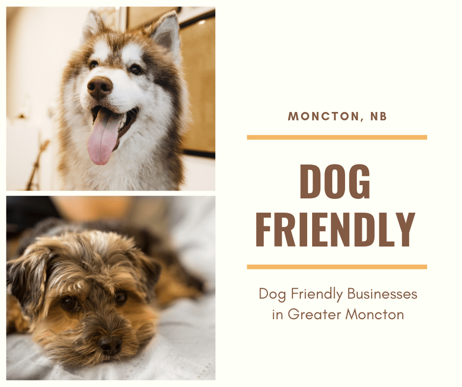 bass pro shop dog friendly