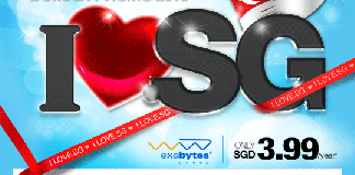 90% OFF SG Domain | Celebrate One Singapore National Day 2013 SG Domain Sale