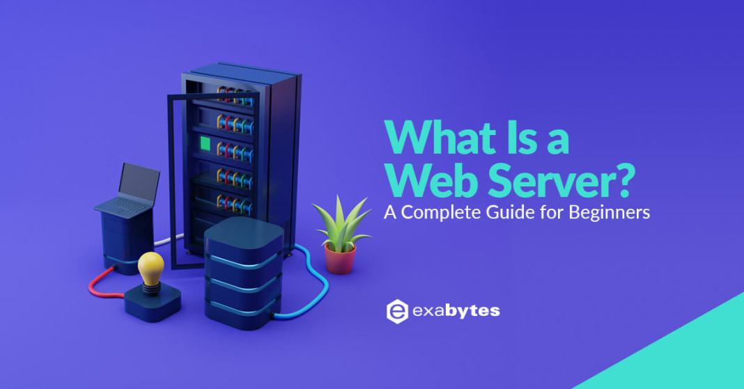 What is a Web Server? A Complete Beginner's Guide