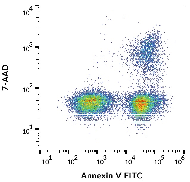 Staining human t cells with 7-aad biocompare antibody, 46% off