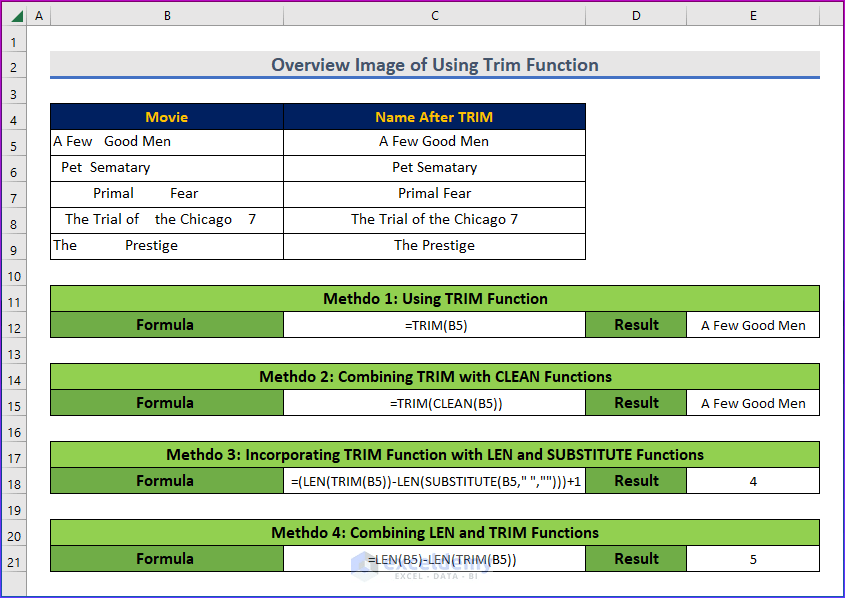 How To Use The TRIM Function In Excel (7 Examples)