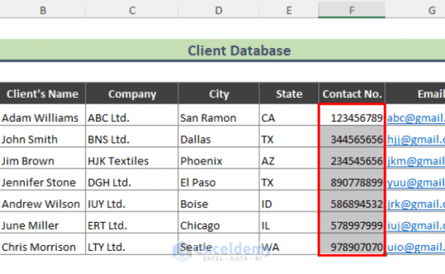 How To Create A Client Database In Excel (With Easy Steps) - ExcelDemy