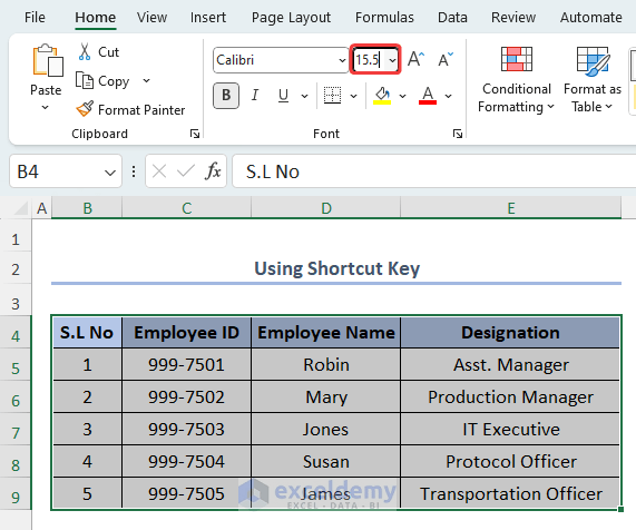 How to change font size in excel