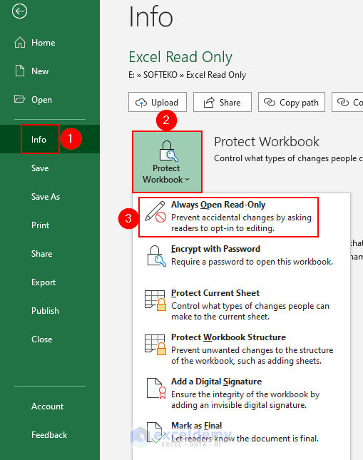 Excel Read Only: All You Need To Know - ExcelDemy