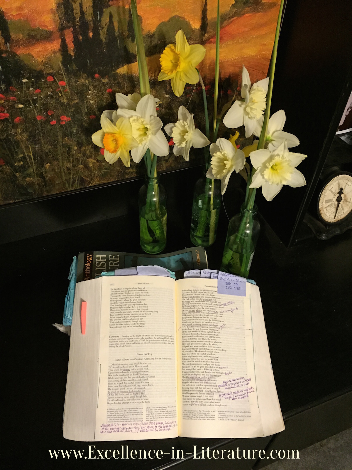 Janice Campbell's annotated Norton Anthology of English Literature.