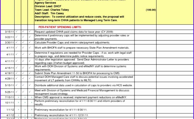 Project Implementation Plan Template Excel