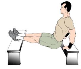 18+ Unique Dips Between Benches - Bench Dips Exercise to build triceps muscle : Calisthenics workout combines classic gymnastics exercises like pull ups, push ups, squats and dips, with creativ modern, urban outdoor sports like parkour, breakdance and freerunning.