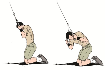 18.10.2021 · belly fat is the most unhealthy, stubborn fat.the aarp warns that people with belly fat are at a higher risk of heart disease, diabetes, stroke, and certain cancers ().that is why you must change your lifestyle and start exercising. Cable Crunches Exercises to Build Upper and Lower Abs