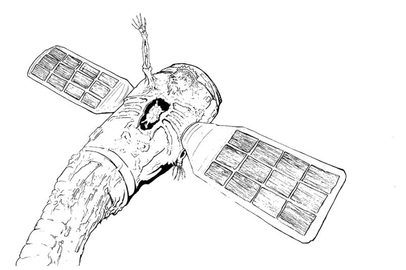 The Exploding Appendix Dossier Exploding Appendix - Best Ocean Images in Retina