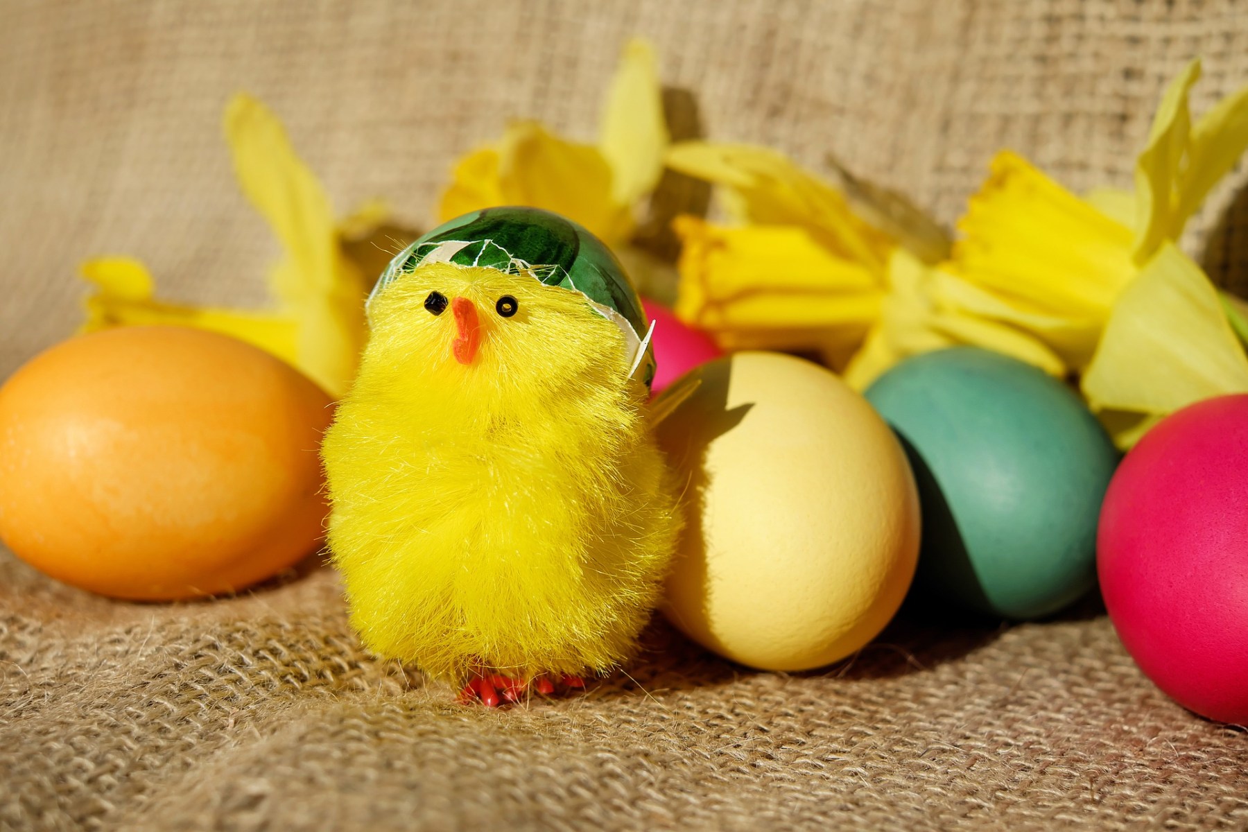 7 Events To Check Out This Easter Holiday In And Around Exeter 7 Events To Check Out This Easter Holiday In And Around Exeter