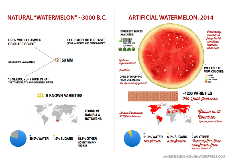 watermelonevolution