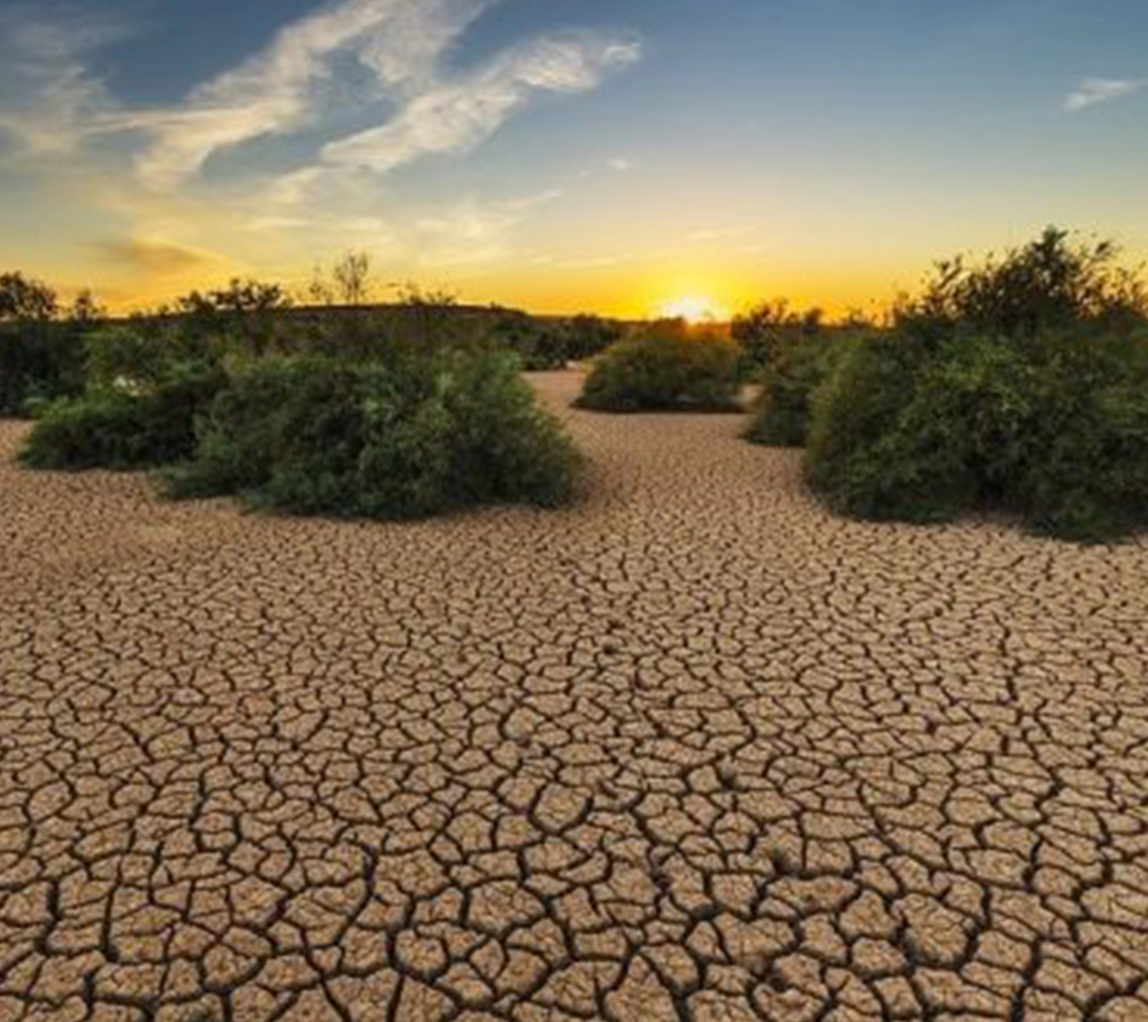 Projet d’étude « Services éco systémiques et dépendances des communautés locales dans la réserve forestière de Belabo-Diang en vue d&rsquo;une solution inclusive pour sa conservation et sa gestion durable »  