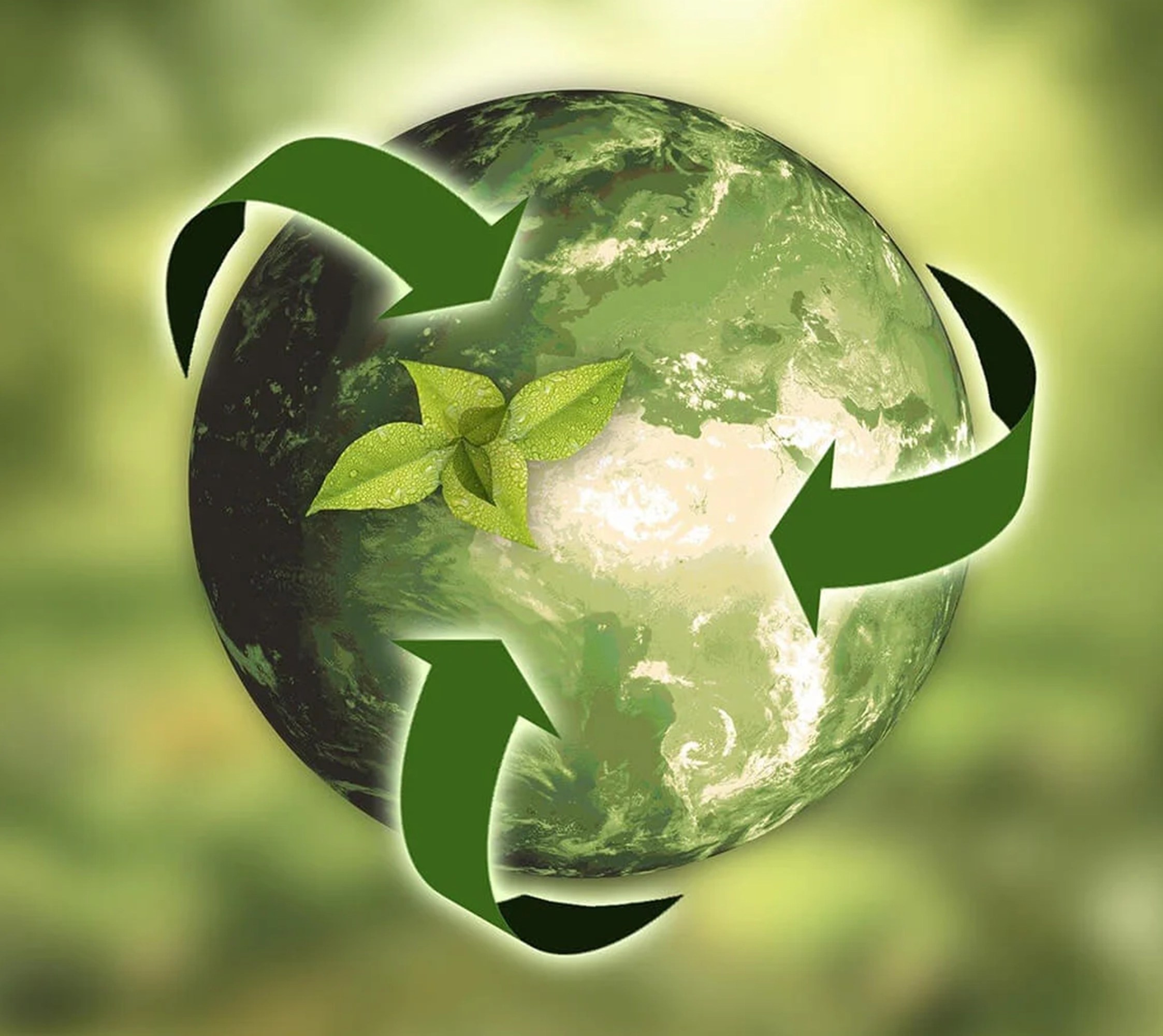 Projet d’amélioration  des  connaissances  écologiques  des  espèces  menacées  et  changement comportemental  des  communautés  locales  au  sujet  de  leur  conservation  dans  la  forêt communale de Doumaintang du Cameroun