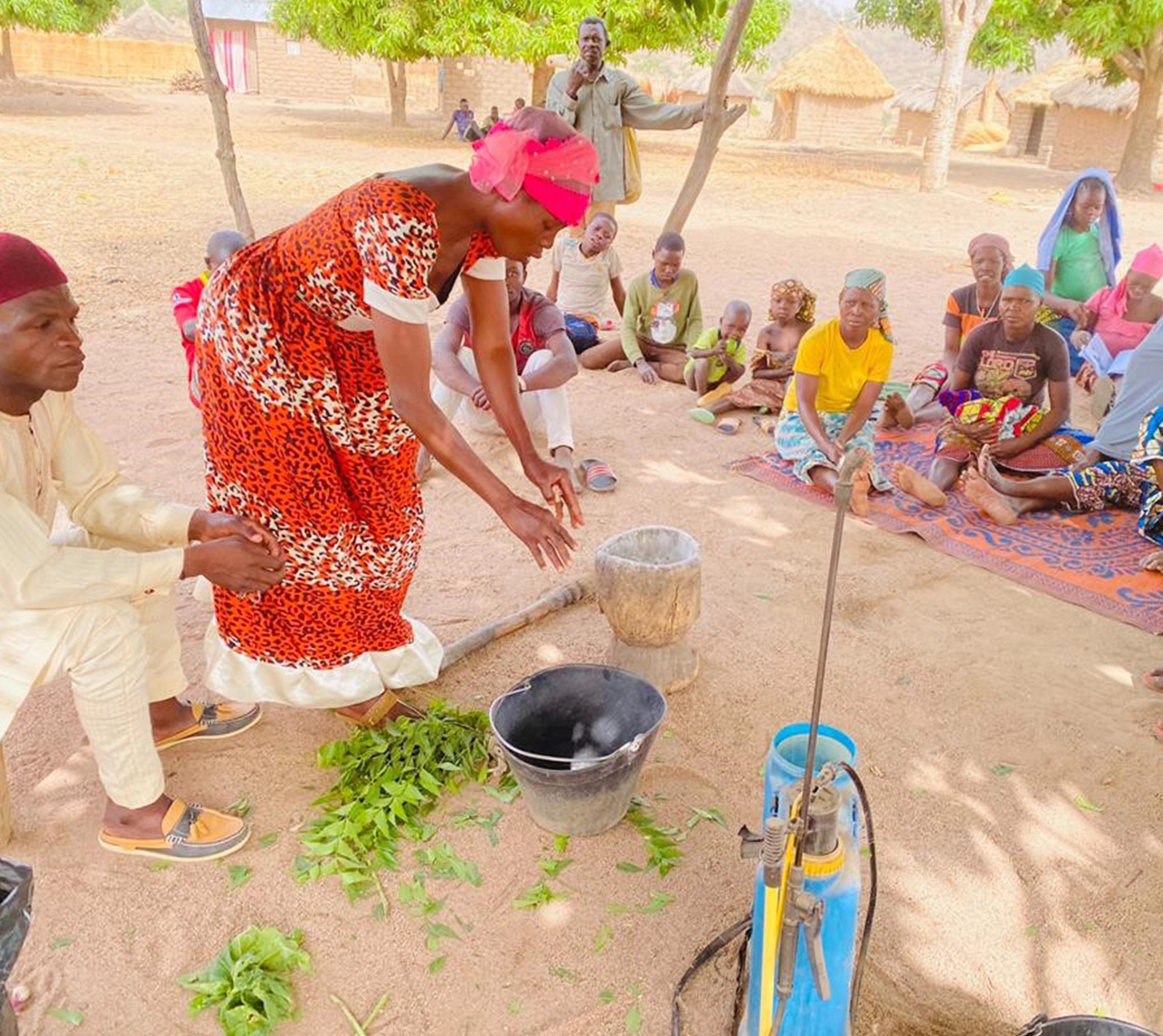Formation de masse des femmes à la fabrication des  bios pesticides afin de limiter l’utilisation des produits chimiques dans les pratiques agricoles
