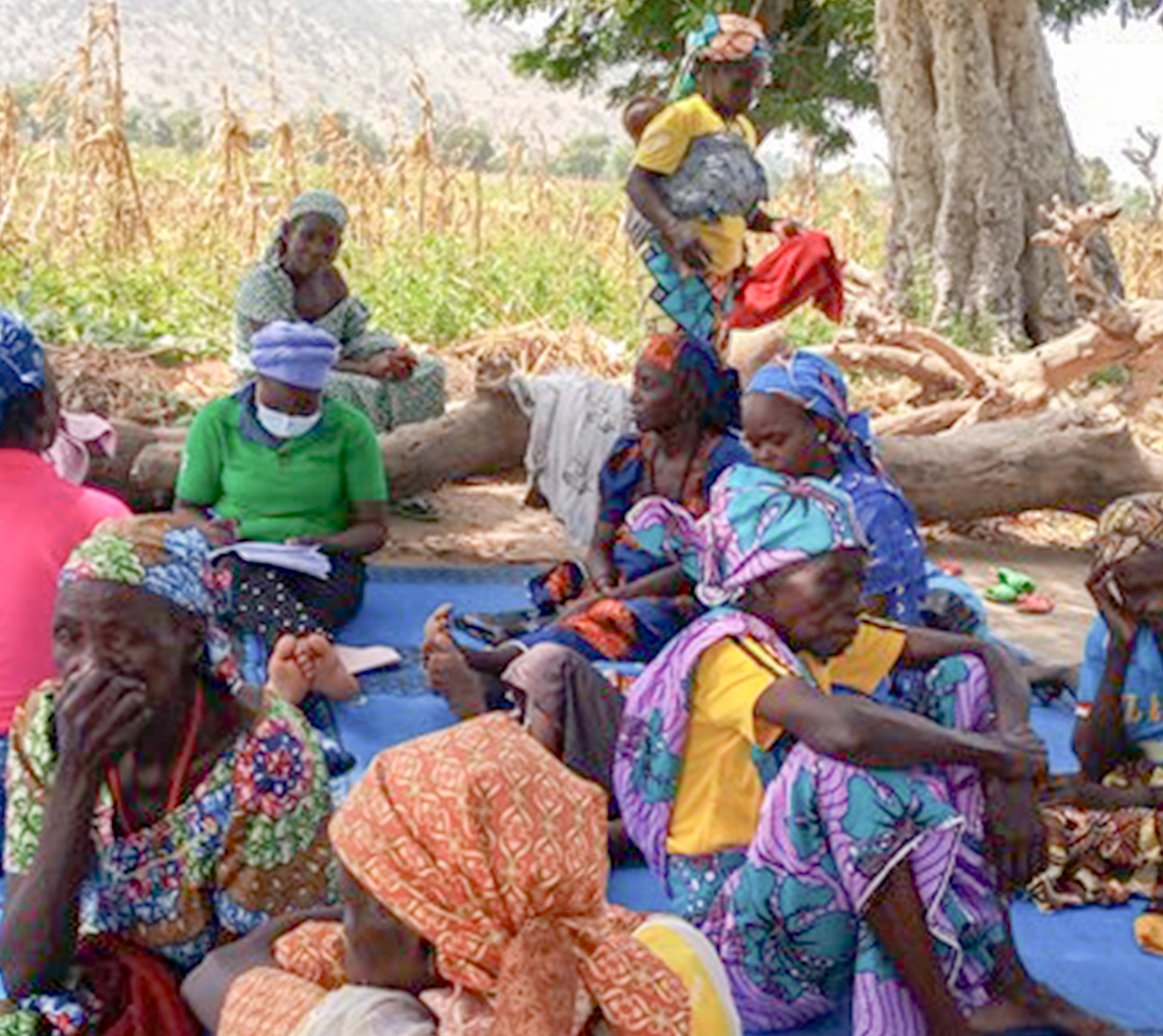 Appui à l’élaboration du guide de prévention des conflits agropastoraux dans la Région du Nord Cameroun