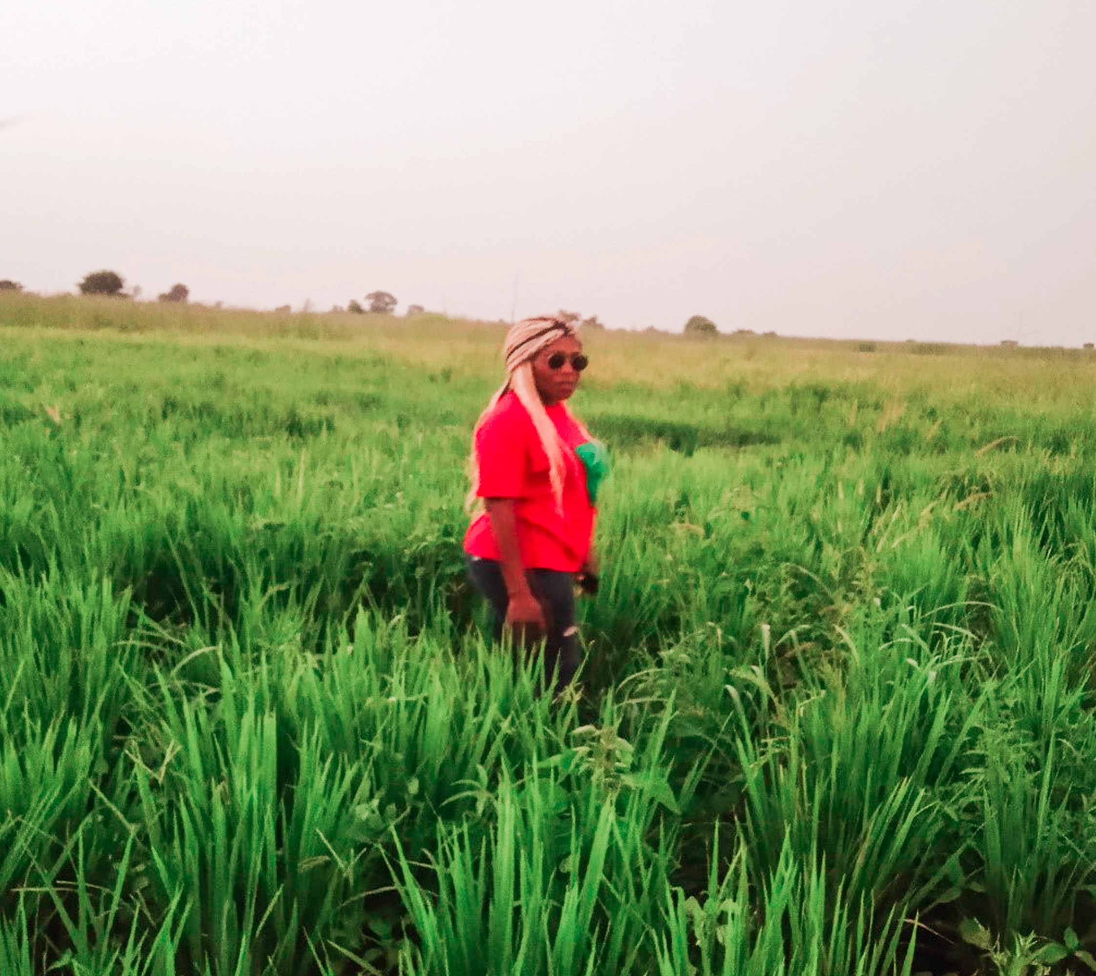 Projet de création 2 champs semenciers d’expérimentation (Semences certifiées) dans les Communes de Mayo Oulo et Lagdo (Nord Cameroun)