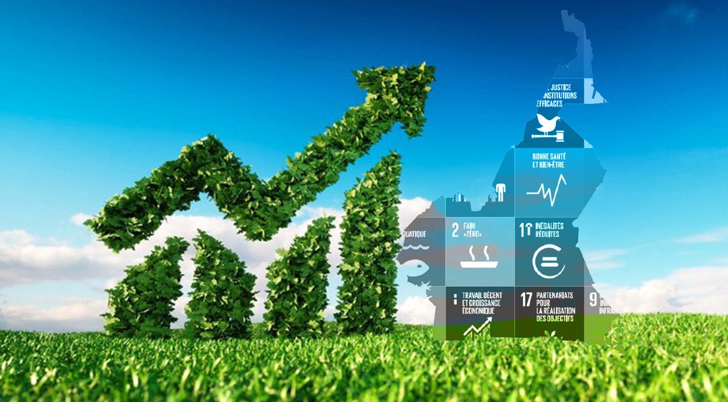 L’importance des organisations féminines locales pour le développement durable au Cameroun