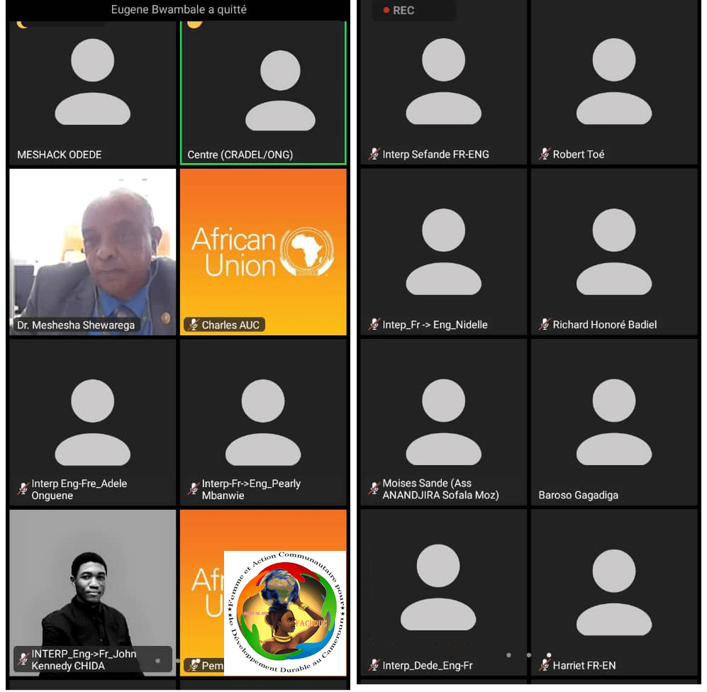 Participation à l’atelier de validation du rapport sur l’état du volontariat de l’Union Africaine et OIT