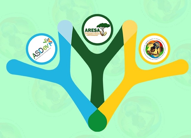 Mise en consortium avec deux autres organisations de la société civile