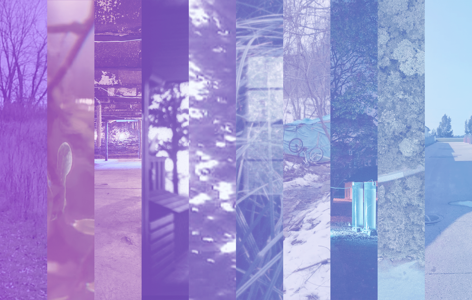 20th Annual Members Screening