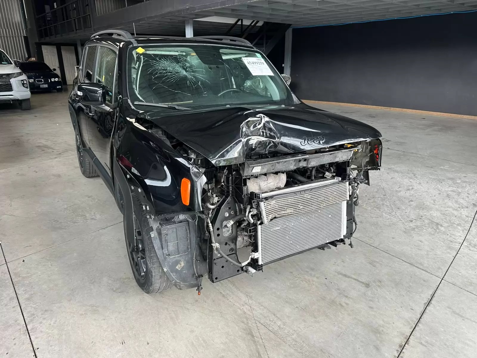 Jeep Renegade 2019
