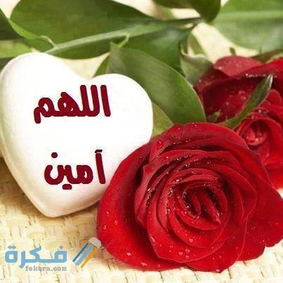 الرد على بالتوفيق