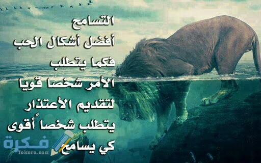 اجمل ابيات شعر عن التسامح والعفو