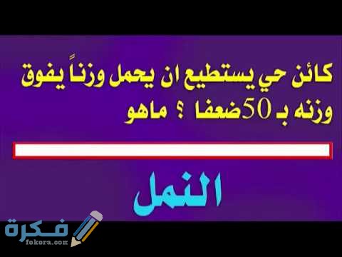 فوازير رياضية وحلها 2021