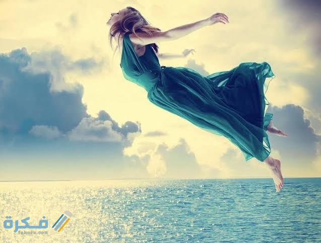 تفسير رؤية التمساح تفسير رؤية التمساح