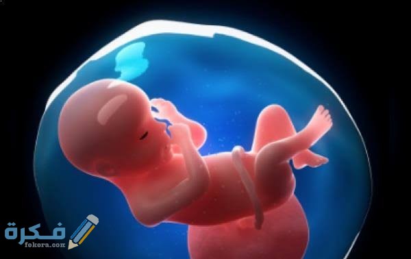 كم نسبة ماء الجنين الطبيعية في الشهر السابع كم نسبة ماء الجنين الطبيعية في الشهر السابع