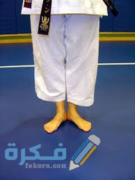 اسماء وقفات الكاراتيه بالصور