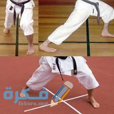 اسماء وقفات الكاراتيه بالصور