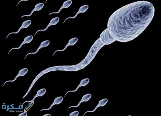 هَلْ يحدث الحمل بدون ممارسة الجنس هَلْ يحدث الحمل بدون ممارسة الجنس