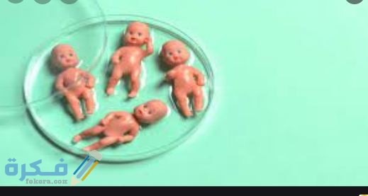 أفضل دكتور أطفال أنابيب في الخبر