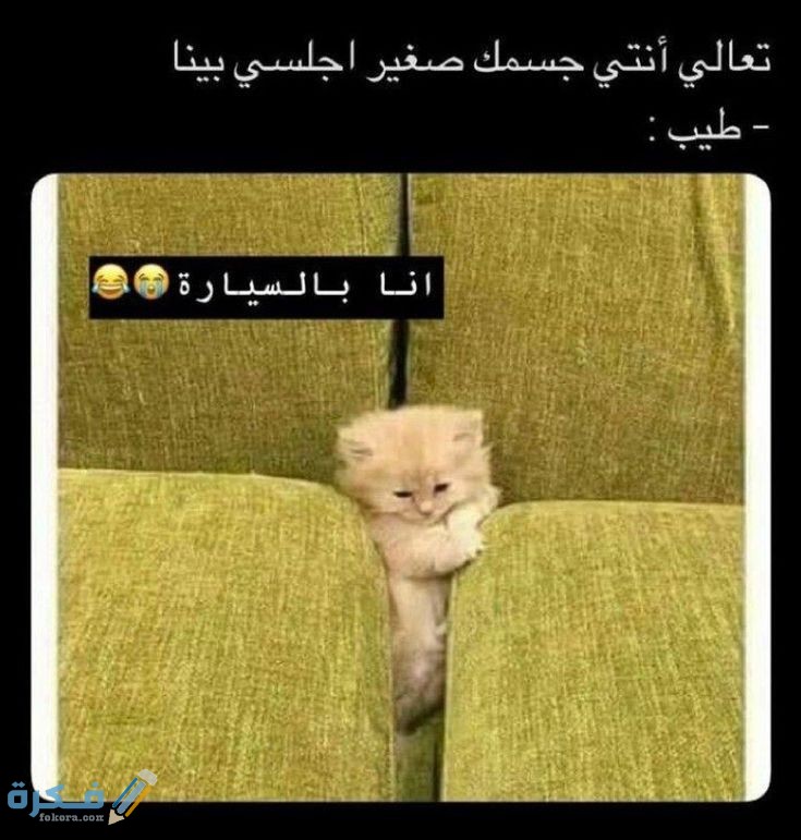 تعليقات ساخرة