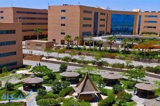 مصاريف كلية بيزنس في الجامعات الخاصة 2022 