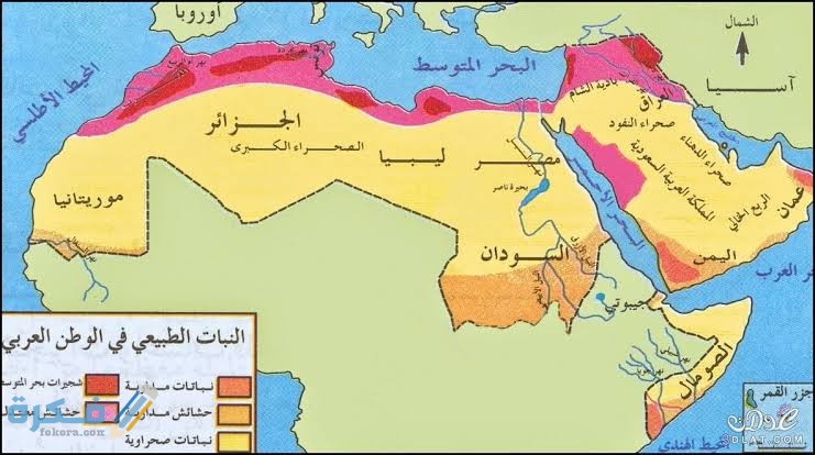 خريطة العالم باللغة العربية بجودة عالية كاملة