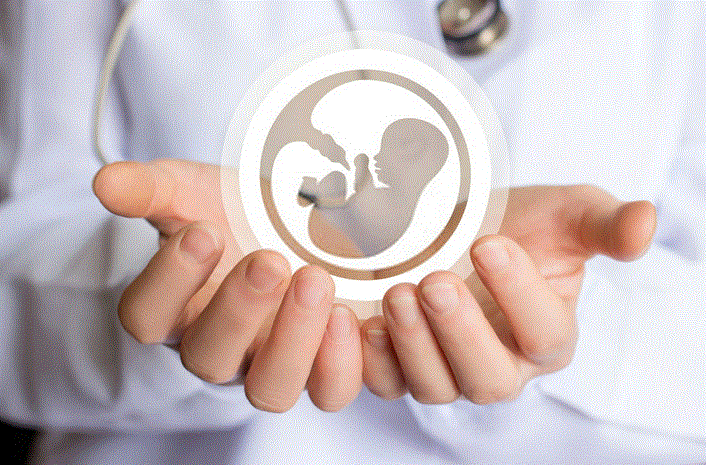 افضل دكتور اطفال انابيب في الاردن