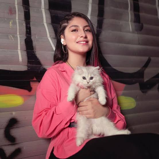 من هي قمر الطائي؟ 