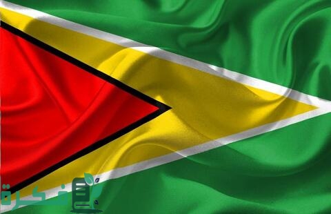 أعلام جميع دول أمريكا الجنوبية