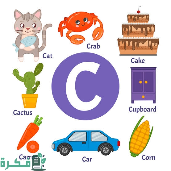 متى تنطق c كاف وقواعد نطق حرف C في الإنجليزية