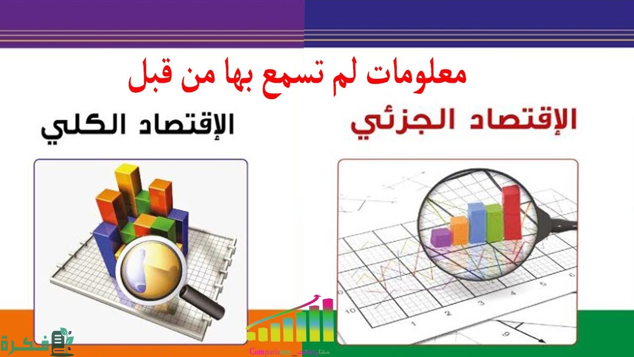 الفرق بين الاقتصاد الجزئي والكلي