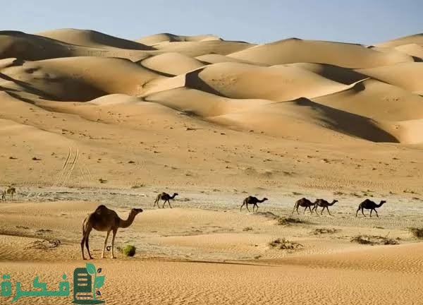 ثاني أكبر صحراء في العالم