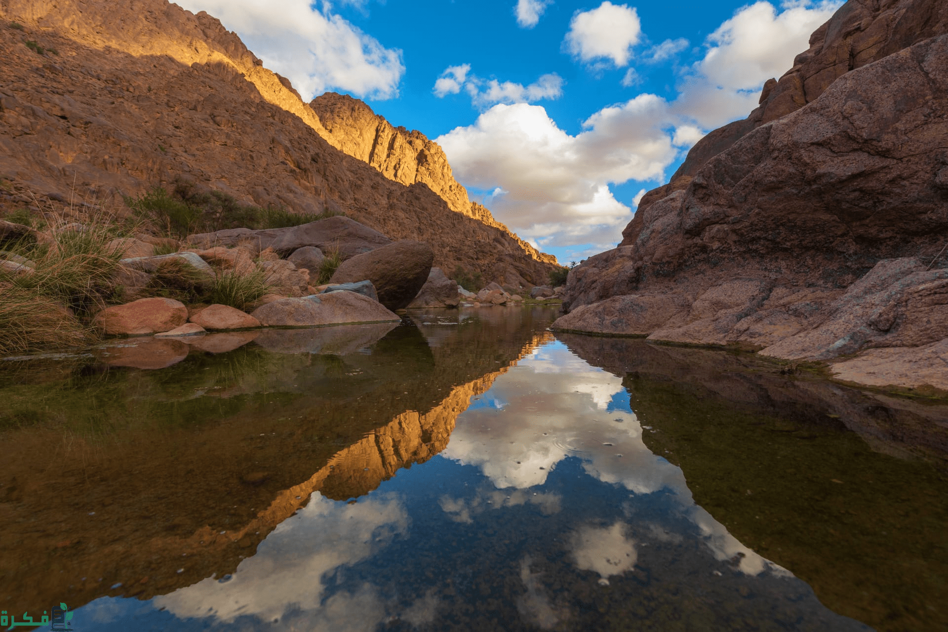 تحفة طبيعية غنّاء.. "وادي حية" واحات تجذب الزوار والسياح بحائل