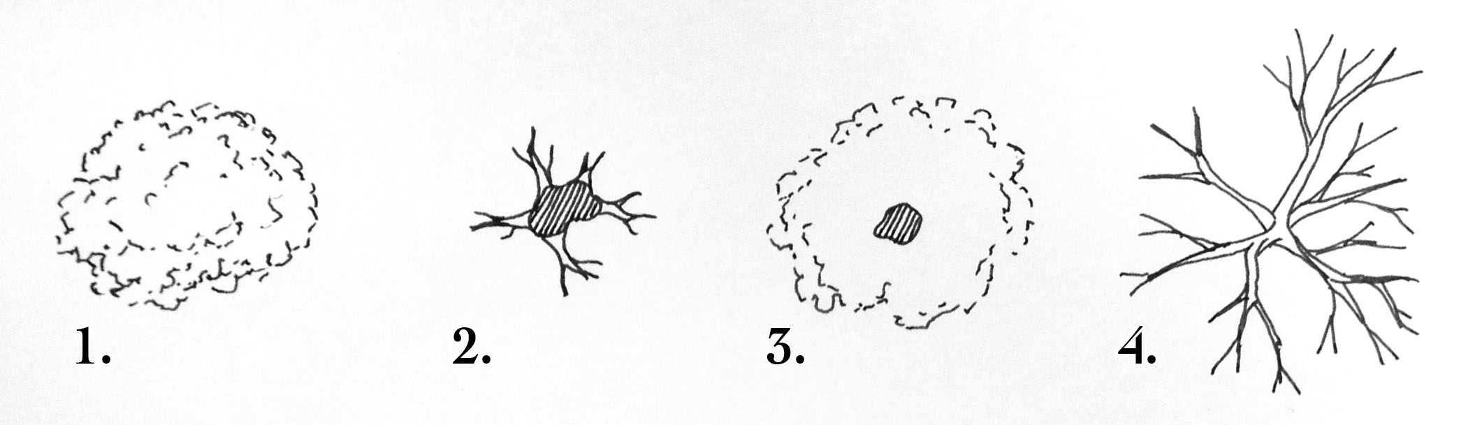Four Ways To Draw Trees On A Map