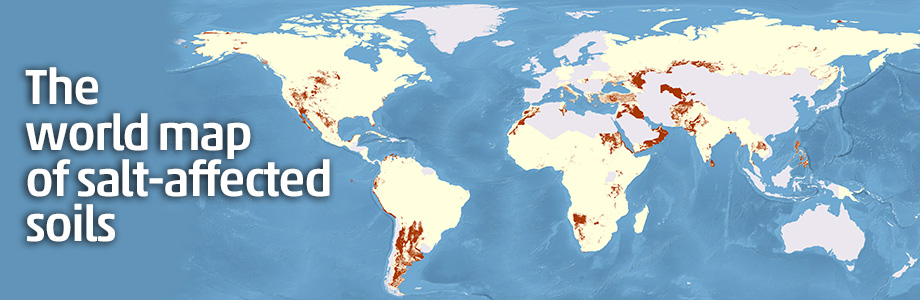 Global Map Of Salt Affected Soils FAO SOILS PORTAL Food And GSSmap Banner 01 