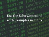 Use The Echo Command With Examples In Linux