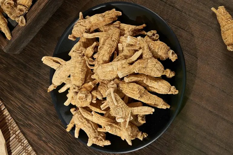 Panax Ginseng